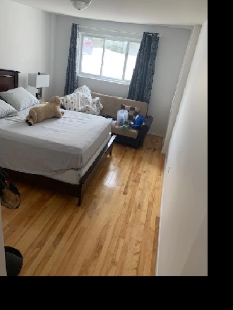 Longueuil, Fréchette grand 41/2 au demi sous-sol Image# 1