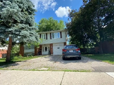 House for Rent in Milton Image# 1