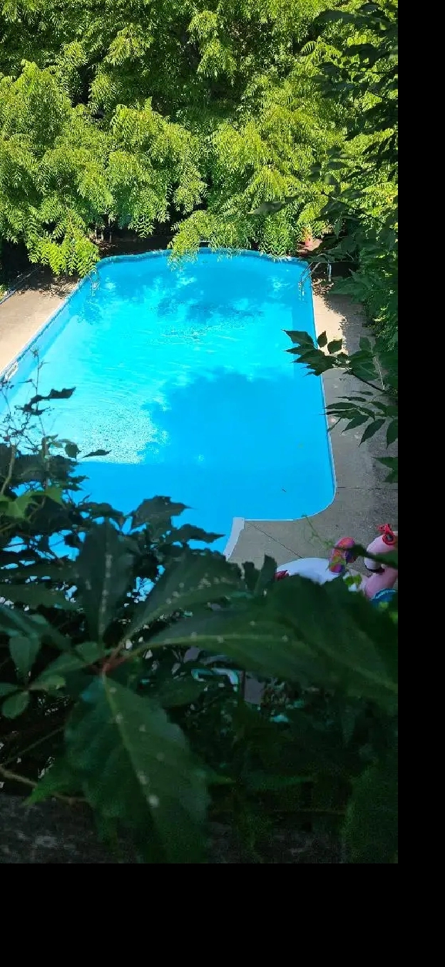 BEAUTIFUL, FURNISHED, LARGE ROOM AVAILABLE IMMEDIATELY BARRIE