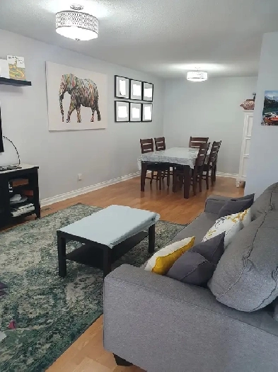 Stunning room for rent!