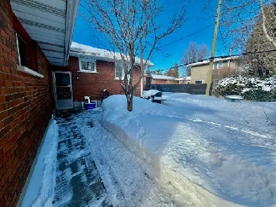 1-Bedroom basement apartment close to Walkley and St Laurent Image# 1