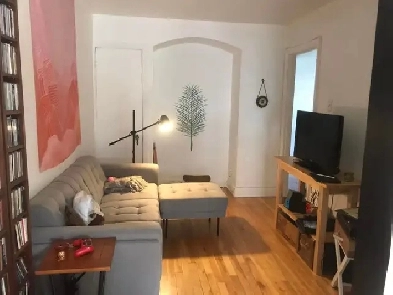 Beau 5 1/2 sur 2 étages, Rosemont Petite-Patrie Image# 1