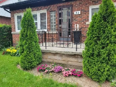 Student Room in 6 bed, 2 bath house in Westdale for Sept.1st Image# 1