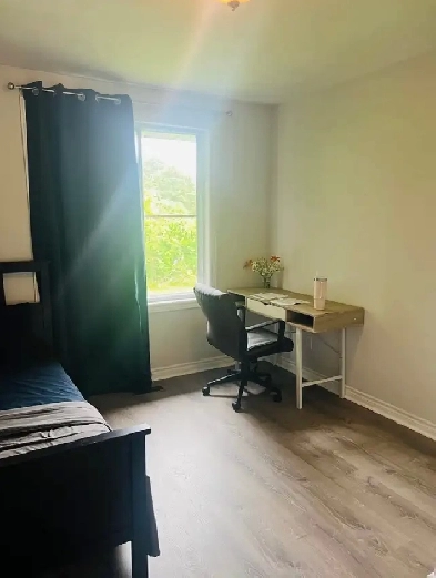 One Bedroom in a 3 Bedroom House Image# 1