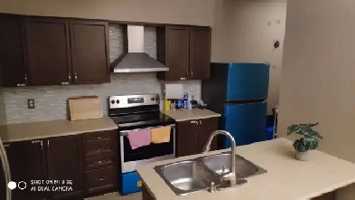 York University Village Room for Rent Image# 1