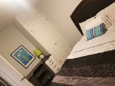 1 Bedroom Roommate Laird & Eglinton( Leaside Area) Image# 1