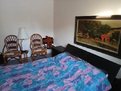 41/2, Ile-Perrot, 2-bedrm 1bath, sun, Priv, services, bus, schoo Image# 1