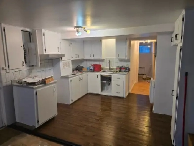 Laval, 4 1/2 Bachelor (sous-sol), non chauffé, Juin/Juillet Image# 1