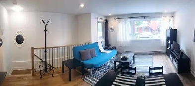 Superbe grand 3 1/2 à louer en plein coeur du Plateau Image# 1