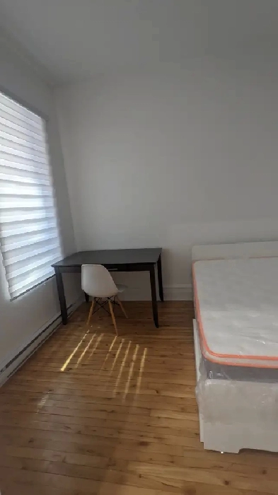 furnished 3 bedroom near McGill including utilities Image# 1