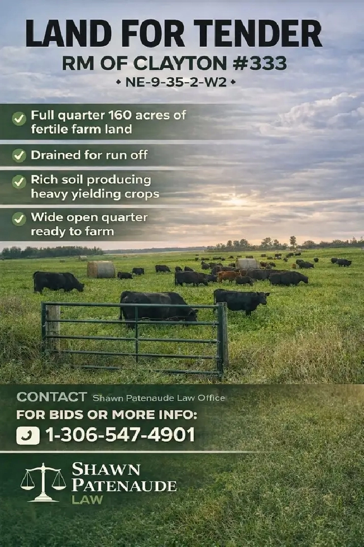 Full quarter wide open land for sale (tender)