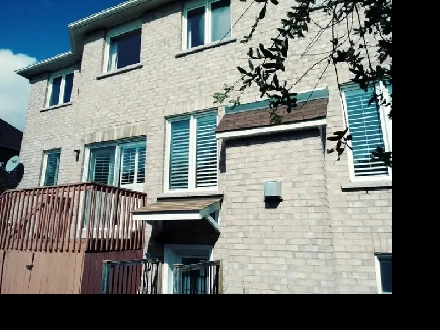 Markham & Steeles Bright Large 1 bdrm Basement apt with parking Image# 1