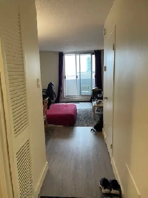 Studio Apartment Lease Transfer Available May 1st Image# 1