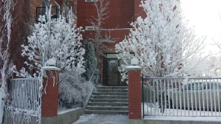 A PLACE TO CALL HOME - THE DAIRY