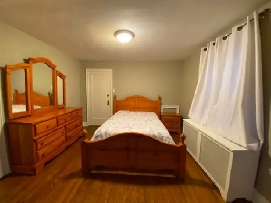 7 bedrooms available for rent to female students only Image# 1