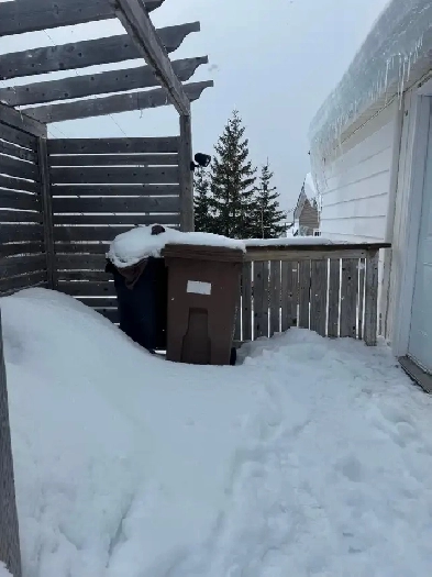 Humber Heights Image# 5