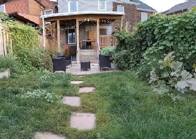 Basement Studio (Bloor / Dufferin) Pet Friendly Image# 1