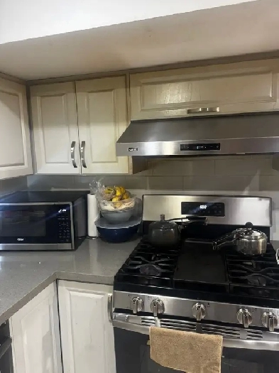 Spacious Basement Room Near Seneca College! Image# 1