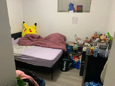 room for rent (stee.es yonge very convent location) Image# 1