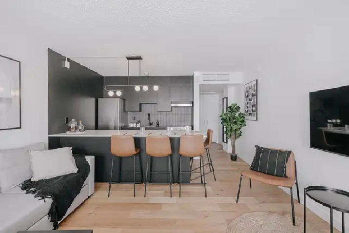 Loft entièrement meublé à louer Saint-Jean-Baptiste octobre 2026