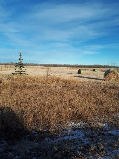 2 acre lots for sale Image# 1