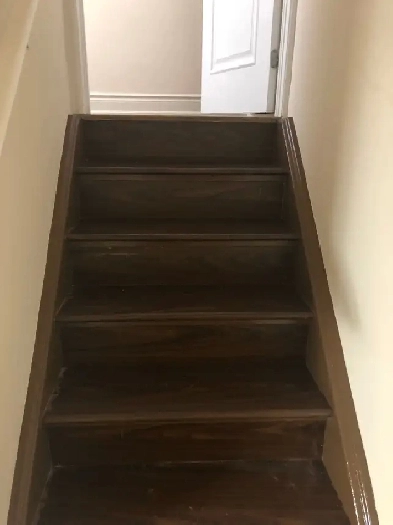 Full Basement/ Rooms for Rent Image# 1