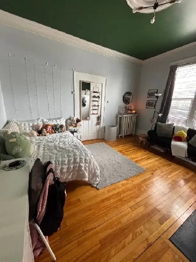 Room for Rent – Walking Distance to Dalhousie University Image# 1