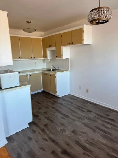 Grand Appartement 4 1/2 a louer, Vimont, Laval Image# 1