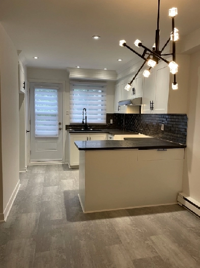 Logement à louer Grand 4 1/2 Image# 1