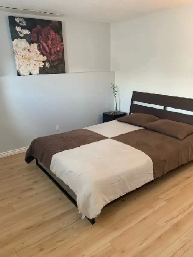 Room with PRIVATE Bathroom to rent Image# 5