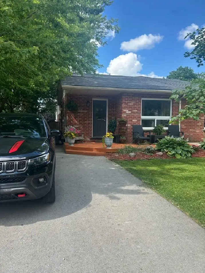 Finished basement room for rent