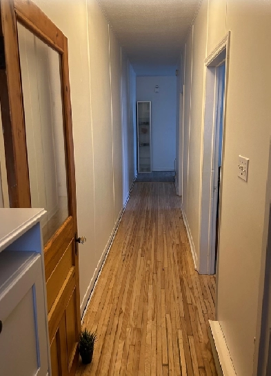 Beau 3 1/2 lumineux et propre • Salle de bain rénovée • Image# 1