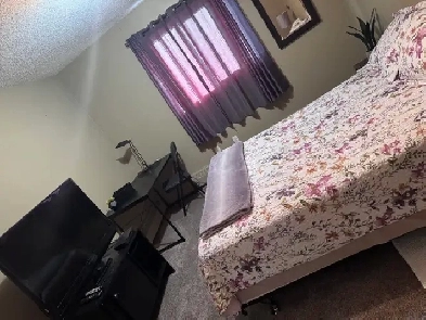 Large Room For Rent Woman Only Plz Image# 1