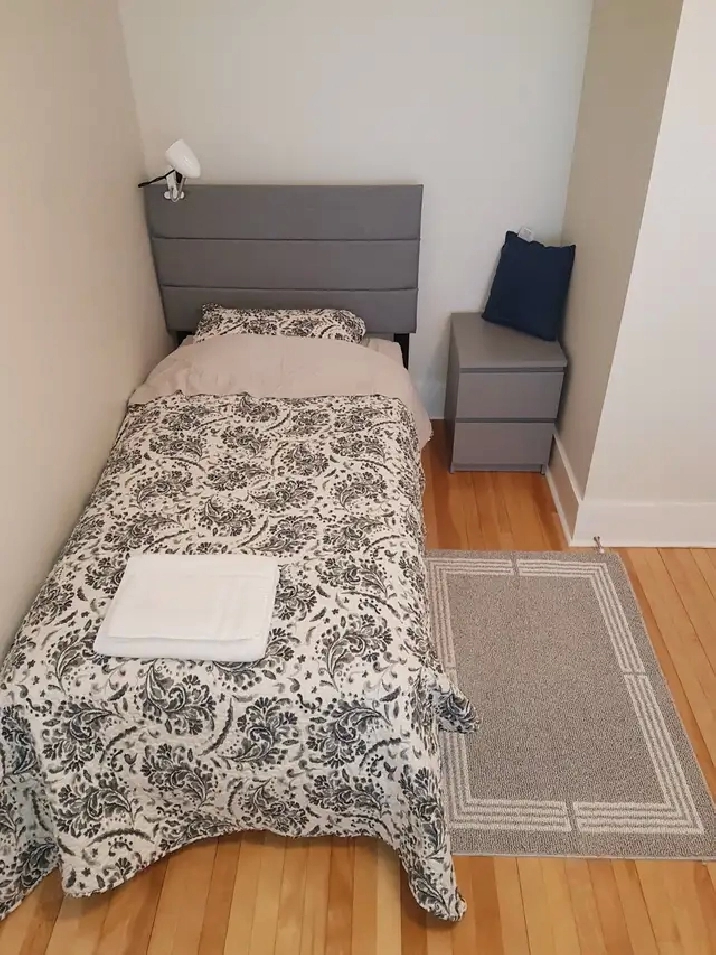 1 Bed room, mouse-free