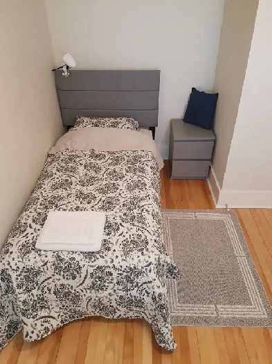 1 Bed room, mouse-free