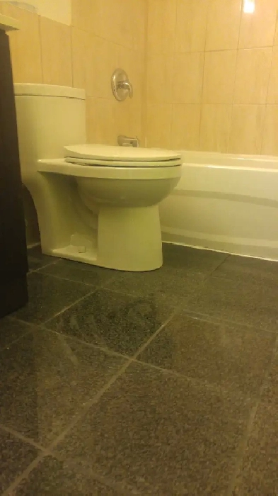 Grand  4 ½, rue Falardeau, Longueuil, 1 Juillet 2026 Image# 1