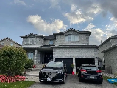 1 Bedroom Basement Apartment in Southeast Barrie Image# 1