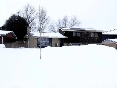 57 Sherry Lane, 4 bedroom home for rent, Nepean Image# 5