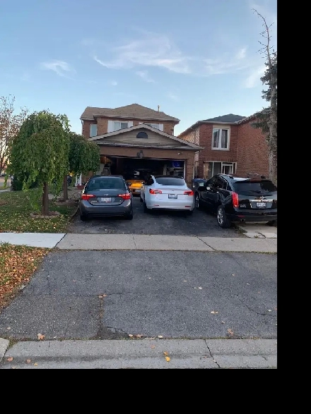 Two bedroom basement for rent