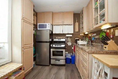 Oshawa bright, quiet 1 bedroom apartment Image# 1