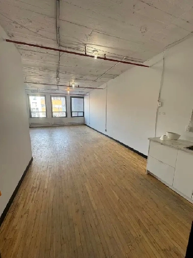 Office for rent/Bureaux à louer Plateau Mont-Royal 1000 ft²/pi² Image# 2
