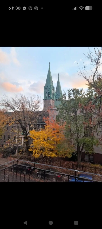 5 ½   louer 1 er avril – Dernier étage – Hochelaga, Montréal Image# 1