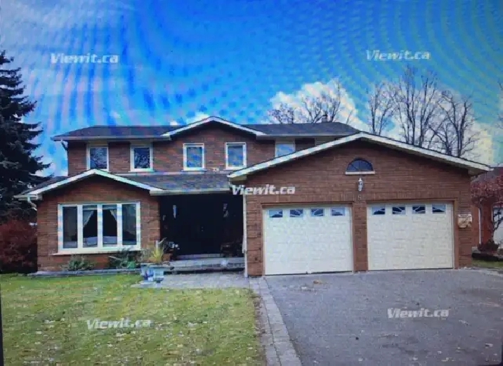 Woodbridge room for rent