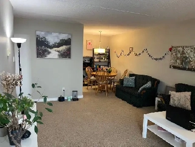 1 bedroom apartment available April 1 Image# 5