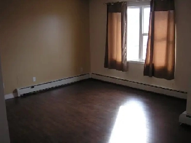 Bachelor Suite in Haywood Court in South Patterson Avail Apr 1st