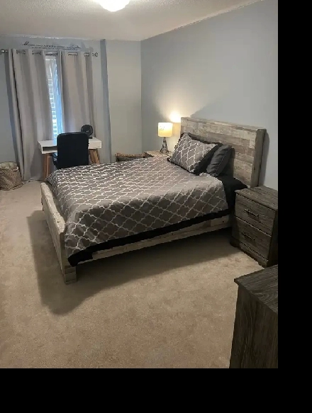 Basement Room Available for Rent April 1st Image# 1