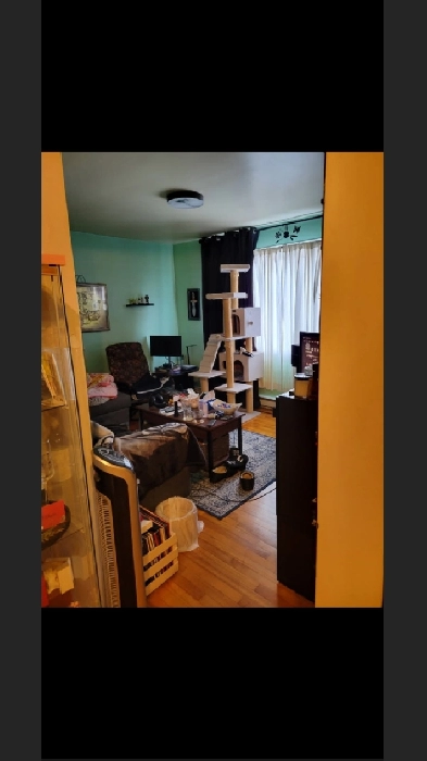 Logement 4 1/2 à louer à Pointe-aux-trembles Image# 1