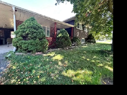 ROOM FOR RENT NEAR WATERLOO, QUIET HOME, MAIN FLOOR Image# 1