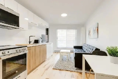 Studio/Loft Neuf à Louer et Appartement à Louer Image# 1