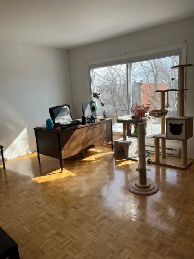 Lasalle 4 1/2 upper Image# 1